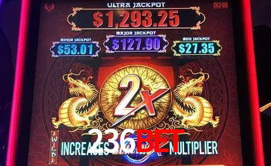 A Emoção da Loteria na 236bet: Uma Chance de Mudança de Vida